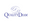 QualityDiam logo