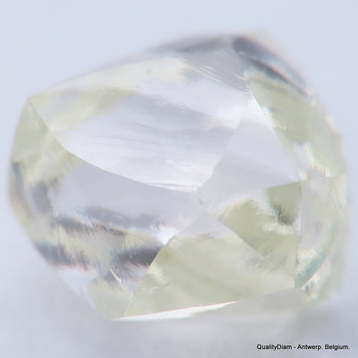 H VVS1 diamond ideal for uncut diamond jewelry. Out from a diamond mine 0.62 carat.