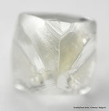 ROUGH DIAMONDS