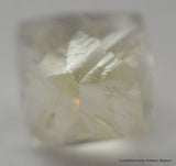 rough diamonds