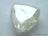 Buy Raw Diamond