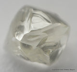 0.18 Carat I Vvs1 Rough Diamond Uncut Natural Real Diamond Out From Diamond Mine