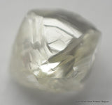 0.18 Carat I Vvs1 Rough Diamond Uncut Natural Real Diamond Out From Diamond Mine