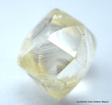 rough diamonds jewelry