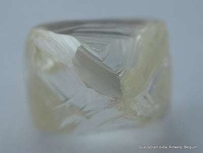 rough diamond jewelry