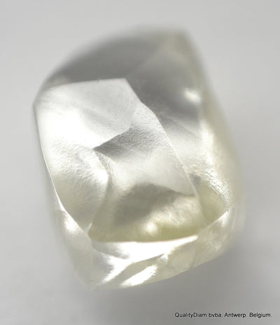 DIAMOND MACKLE