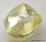 diamond mines