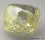 Rough Diamonds