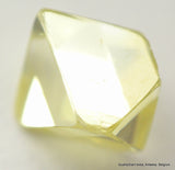 Intense fancy yellow extremely rare color gem diamond precious stone