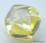 Real is rare: intense fancy yellow beautiful diamond ready to set in a jewel