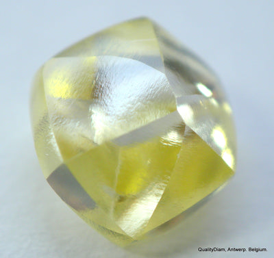 Real is rare: intense fancy yellow beautiful diamond ready to set in a jewel