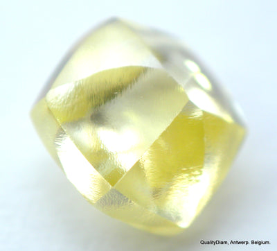 Real is rare: intense fancy yellow beautiful diamond ready to set in a jewel