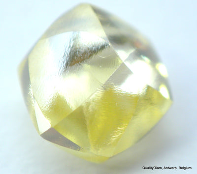 Real is rare: intense fancy yellow beautiful diamond ready to set in a jewel