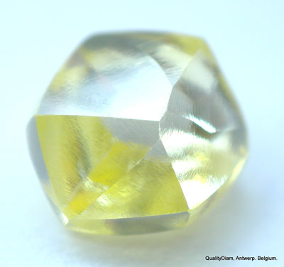 Real is rare: intense fancy yellow beautiful diamond ready to set in a jewel