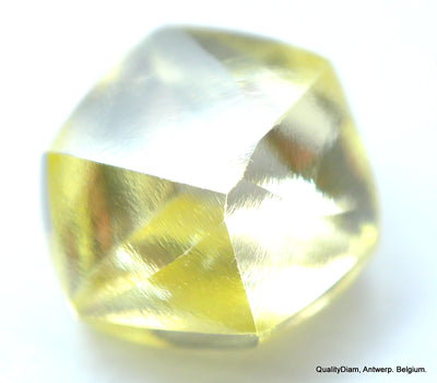 Real is rare: intense fancy yellow beautiful diamond ready to set in a jewel