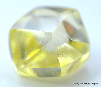 Real is rare: intense fancy yellow beautiful diamond ready to set in a jewel