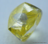 Mackle Diamond