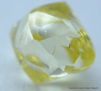 rough diamonds 