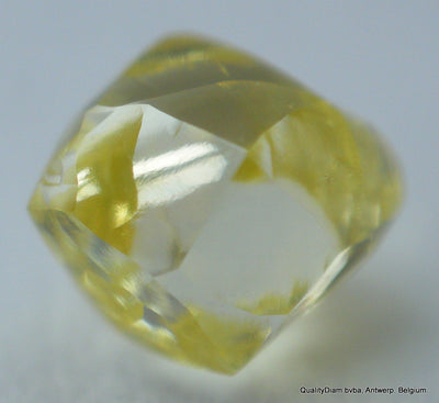 rough diamond jewelry