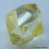For Rough Diamond Jewelry: 0.28 Carat Intense Fancy Yellow Beautiful Gem Diamond