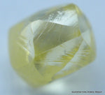 intense fany yellow diamond