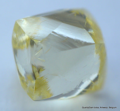 rough diamond jewelry