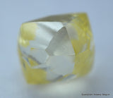 rough diamonds