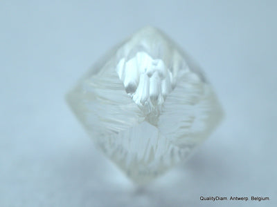 rare white + diamond