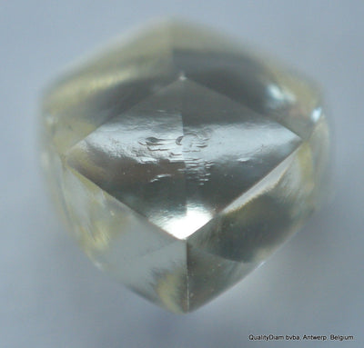 buy rough diamond