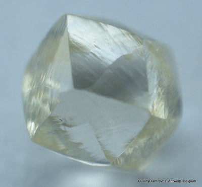 buy rough diamond