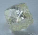 museum quality diamond