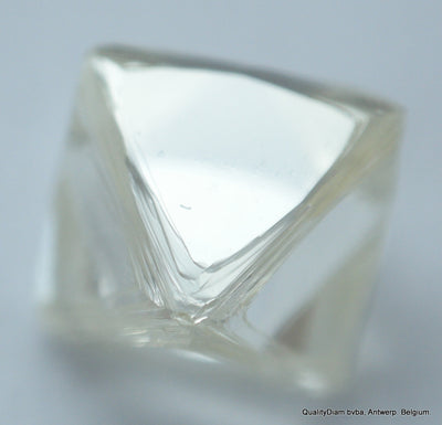 rough diamond for jewelry