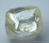genuine diamond