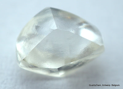 Buy Raw Diamond