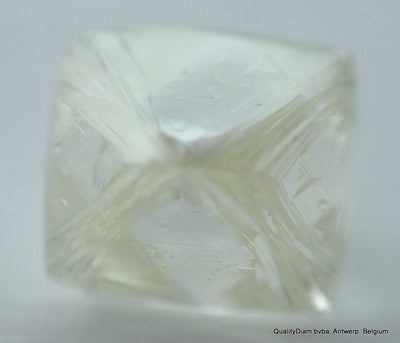 rough diamonds jewelry