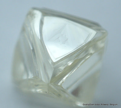 rough diamonds jewelry