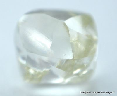 rough diamonds jewelry