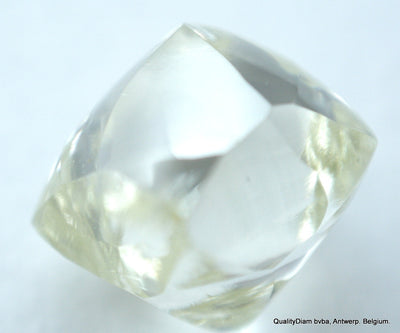 rough diamonds jewelry