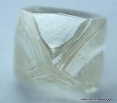 rough diamonds jewlery