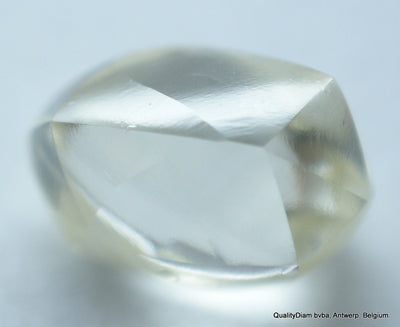 ROUGH DIAMONDS