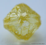 natural diamond rough diamond uncut diamond out from a diamond mine