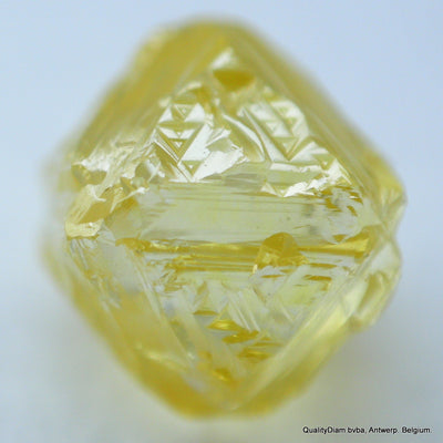 vivid fancy yellow rare diamond out from a diamond mine