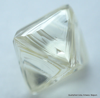 Uncut Diamond - Rough Diamond out from a Diamond Mine 