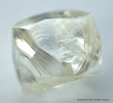 GENUINE DIAMOND IS FOREVER