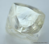 REAL DIAMOND IS FOREVER