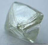 fancy green diamond for uncut diamonds jewelry