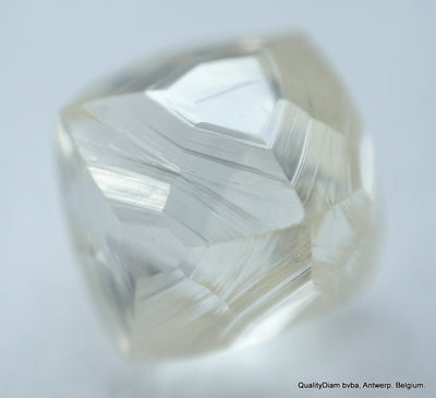 natural diamond uncut diamond rough diamond