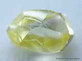 vivid fancy yellow natural diamond out from a diamond mine