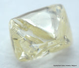 0.30 CARAT NATURAL DIAMOND OUT FROM A DIAMOND MINE. OCTAHEDRON, SILVER CAPE, SI2