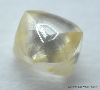 0.23 carat natural diamond out from a diamond mine silver cape VS2